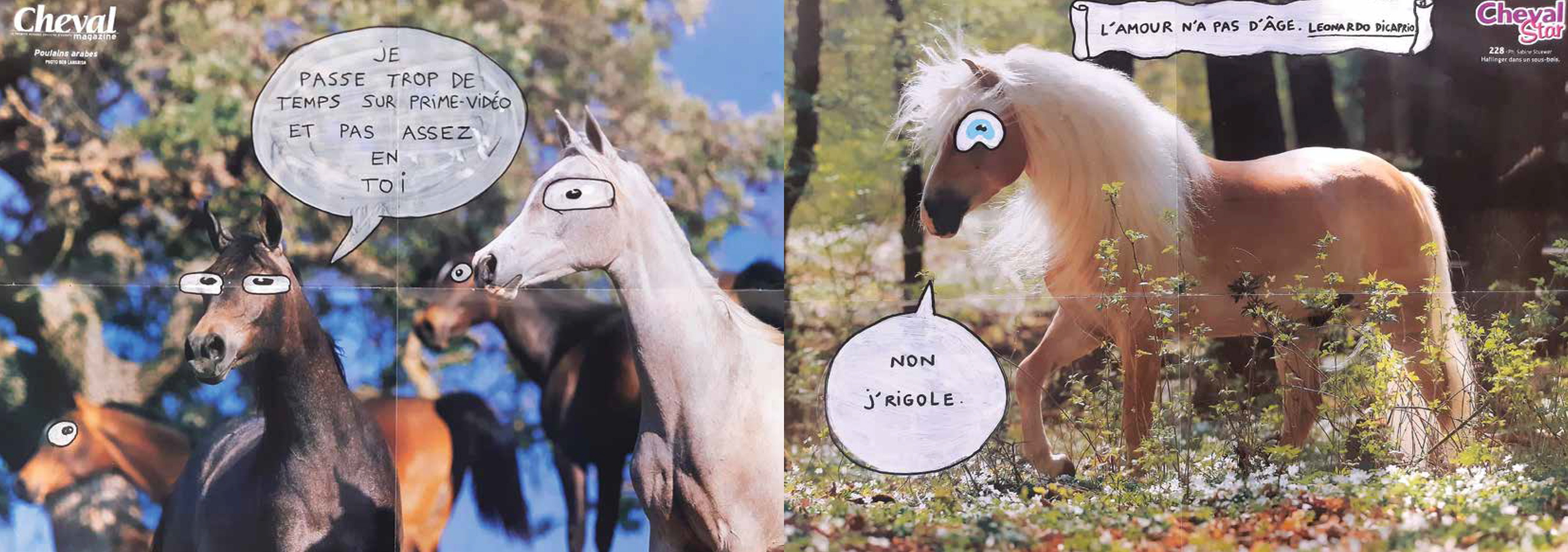 Lendroit éditions - Calendrier 2023 Passion chevals