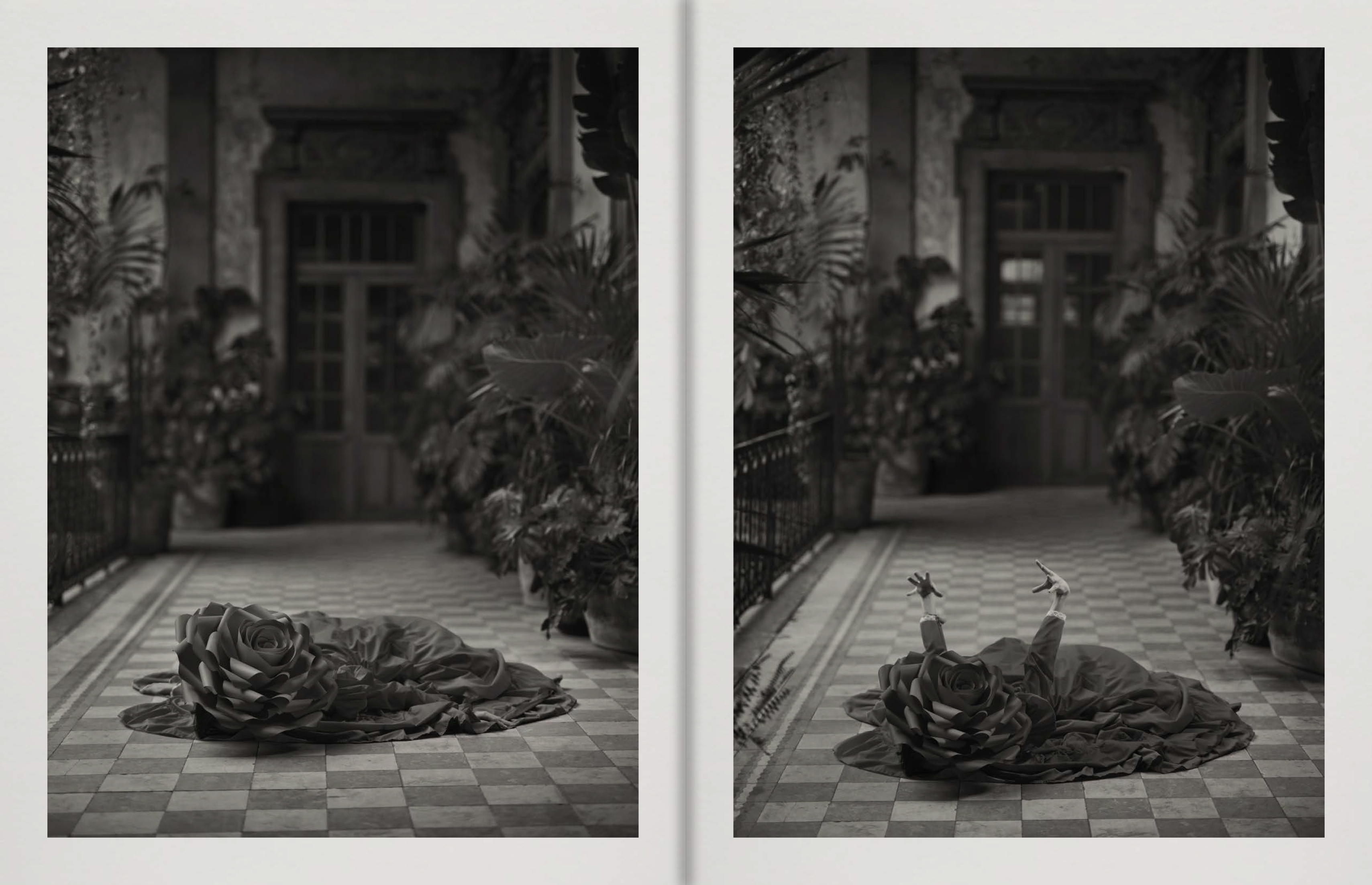 Pieter Henket : Birds of Mexico City - Les presses du réel (book)