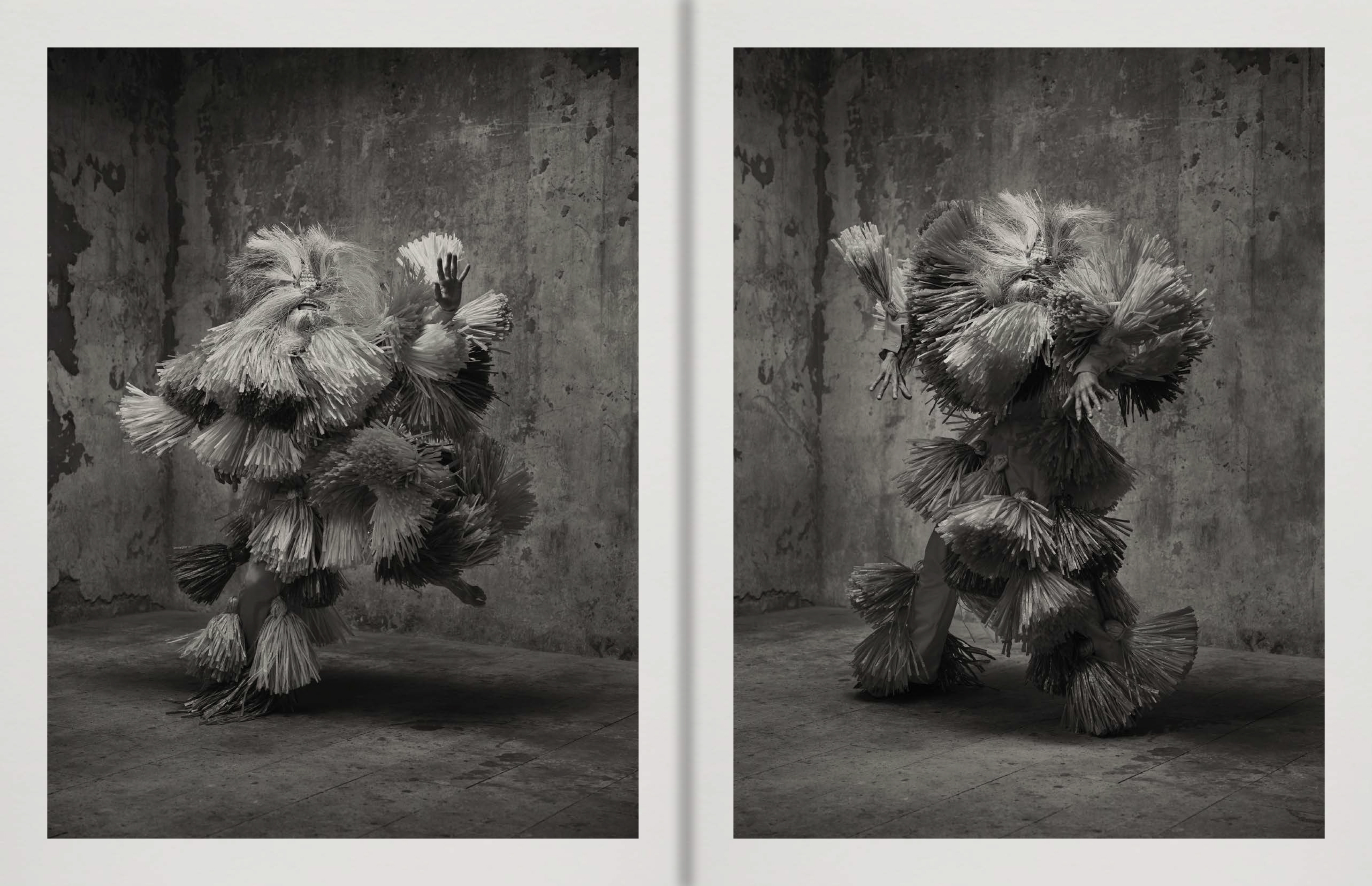 Pieter Henket : Birds of Mexico City - Les presses du réel (book)