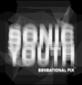 Sonic Youth etc. : Sensational Fix