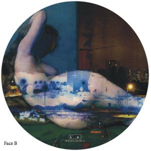 On Your Body's Landscape (vinyl LP)