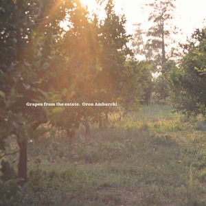 Oren Ambarchi - Grapes from the Estate (2 vinyl LP)