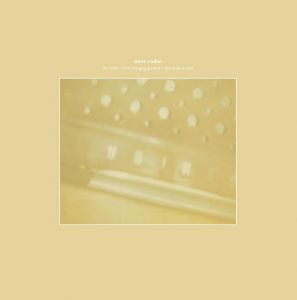 Steve Roden - The Radio – Airria (Hanging Garden) – Vein Stem Is Calm (vinyl LP) 
