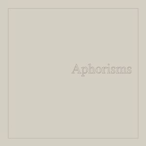 Graham Lambkin - Aphorisms (2 vinyl LP)