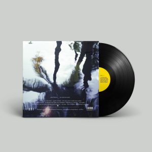 An Anxious Host (vinyl LP)