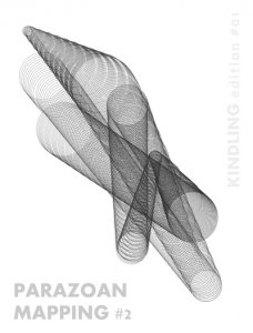 Taku Unami - Parazoan Mapping #2 (livre + téléchargement)