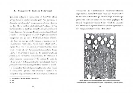 Penser et créer avec le microcosme