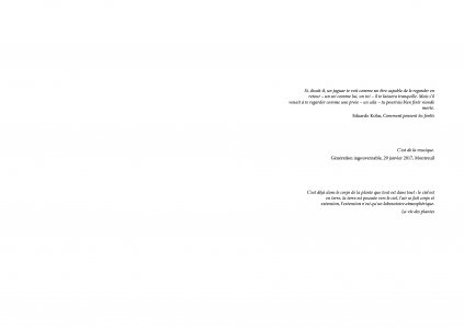 Impossessions primitives / L'Anti-Terre
