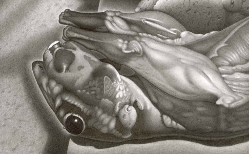 L'alchimie du cerveau à la mine de plomb