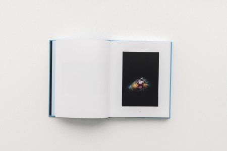 Human Insights