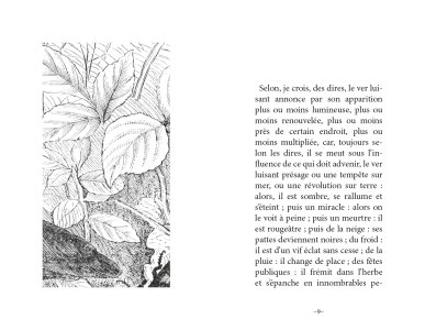Le diamant de l'herbe (livre + CD)