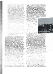 Fanzines