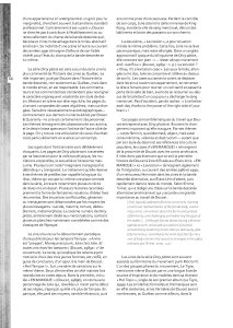 Fanzines