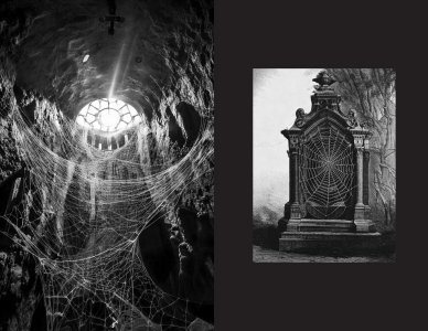 Life(s) of webs