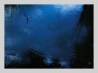The Stream