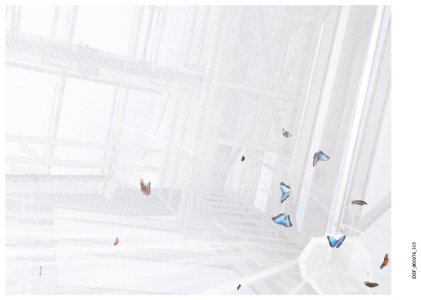 Curatorial Design