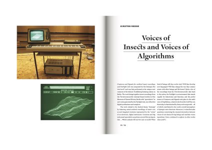 Errant Sound Reader