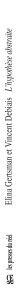 L\'hypothèse abstraite
