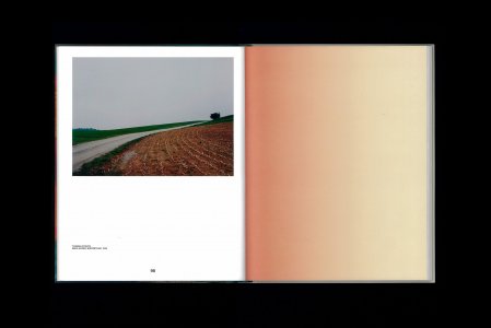 Through the Seasons