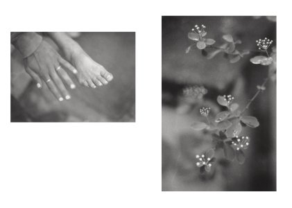 Local Ecology