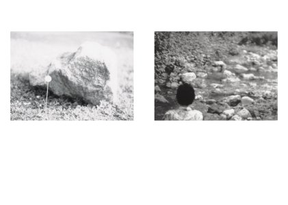 Local Ecology