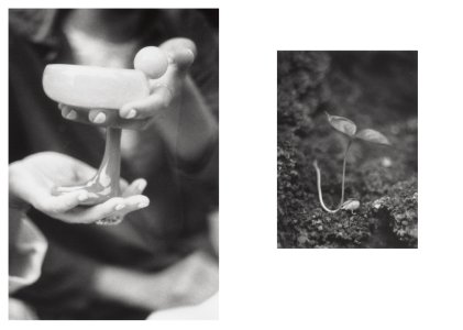 Local Ecology