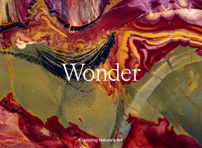 Jon McCormack - Wonder - Exploring Nature\'s Art