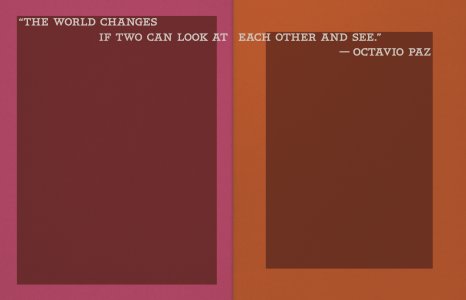 Birds of Mexico City