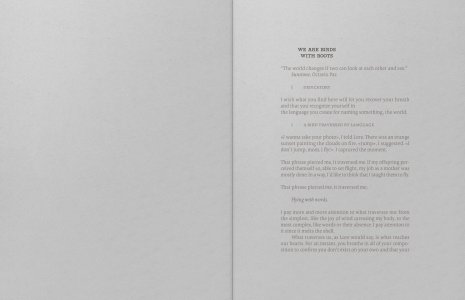 Birds of Mexico City