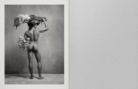 Birds of Mexico City