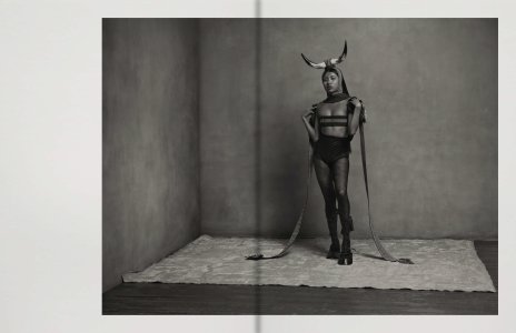 Birds of Mexico City