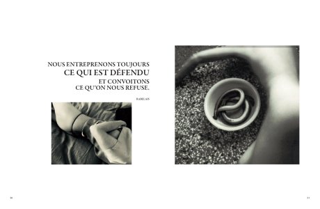 La Cité  de Thélème