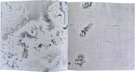 Heliogram (livre + flexi disc)