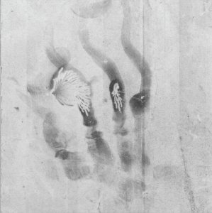 Robin Watkins, Nina Canell - Heliogram (livre + flexi disc) 