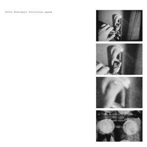 Martin Brandlmayr - Interstitial Spaces (vinyl LP) 