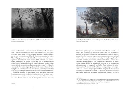 Kandinsky et l'image photographique