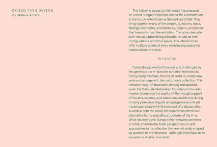 Inhabit the Contradiction