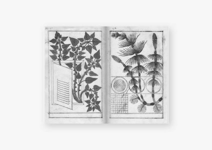 Era un cavallo elettrico