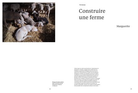 Cahiers mésozoaires