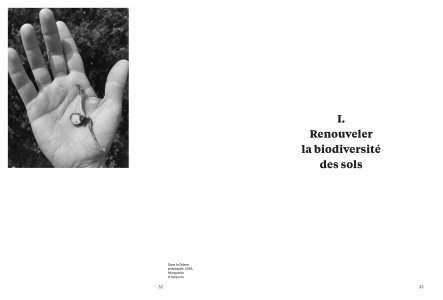 Cahiers mésozoaires