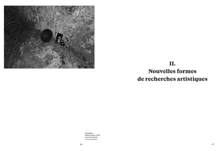 Cahiers mésozoaires