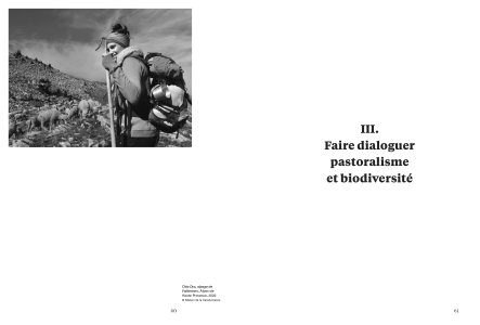 Cahiers mésozoaires