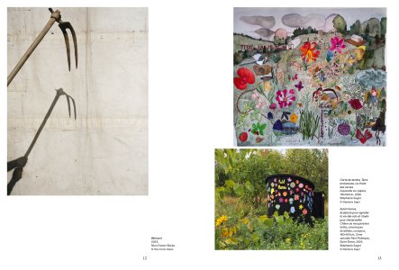 Cahiers mésozoaires