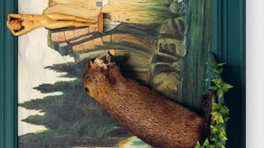 Les choses de la vie