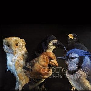  eRikm - Observations (vinyl LP)