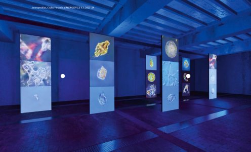 Biennale de l'Image en Mouvement 2024