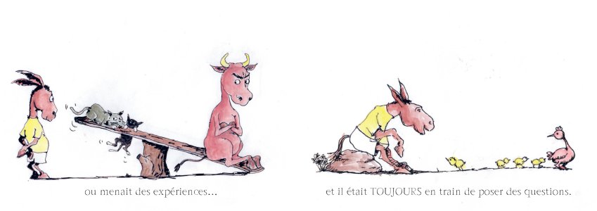 L'Âne qui voulait savoir des choses