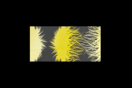 Aeolian Suite (livre + vinyl LP)