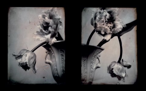 The Chemistry of Memory