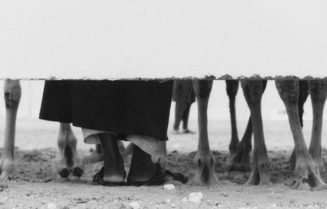 Al Dhafra